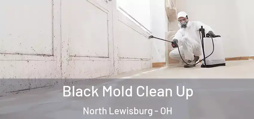  Black Mold Clean Up North Lewisburg - OH