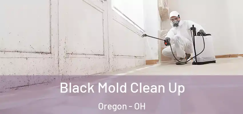  Black Mold Clean Up Oregon - OH