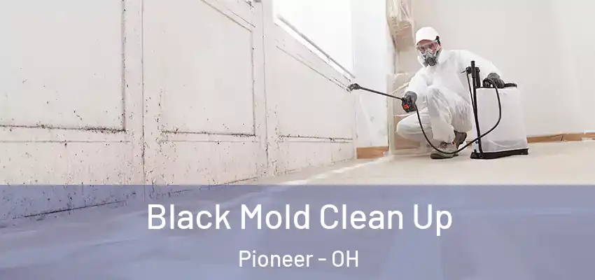  Black Mold Clean Up Pioneer - OH