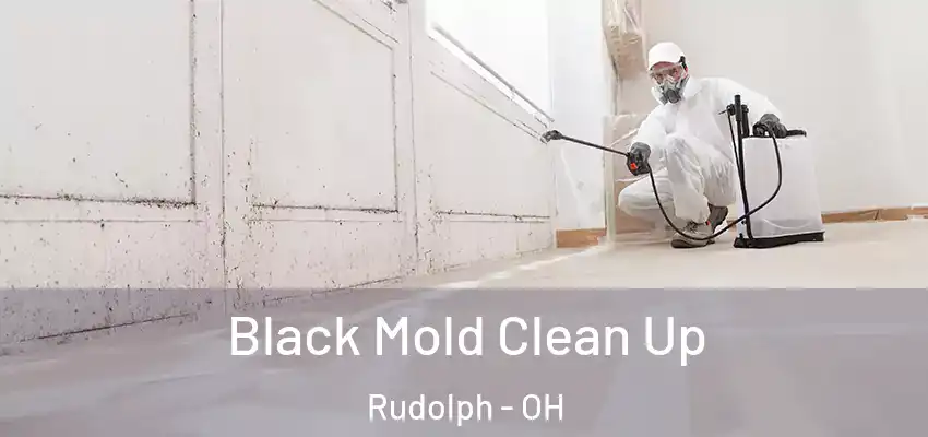  Black Mold Clean Up Rudolph - OH