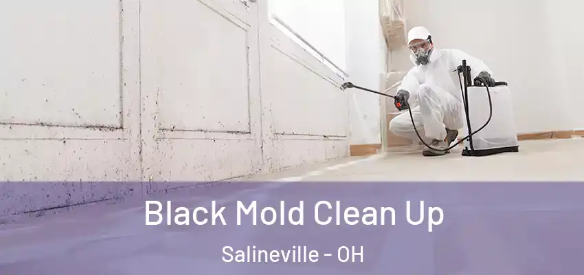  Black Mold Clean Up Salineville - OH