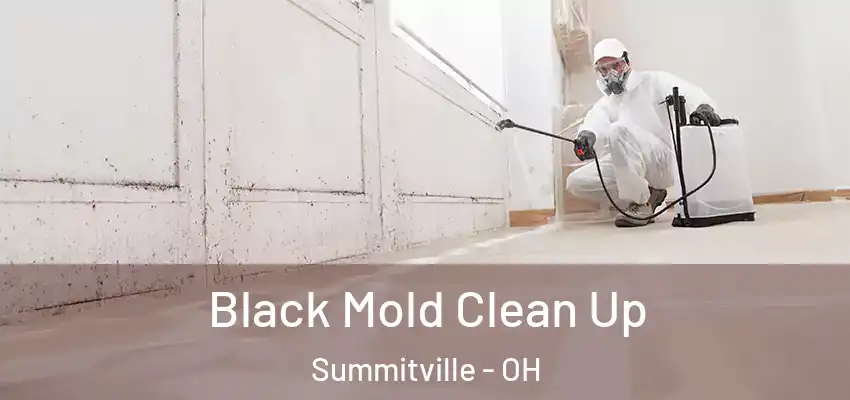  Black Mold Clean Up Summitville - OH