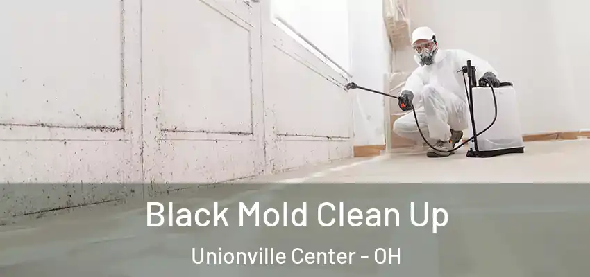  Black Mold Clean Up Unionville Center - OH