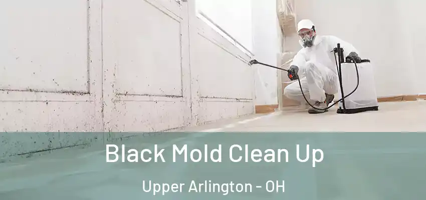  Black Mold Clean Up Upper Arlington - OH
