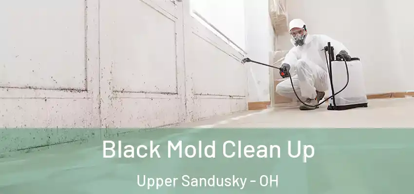  Black Mold Clean Up Upper Sandusky - OH