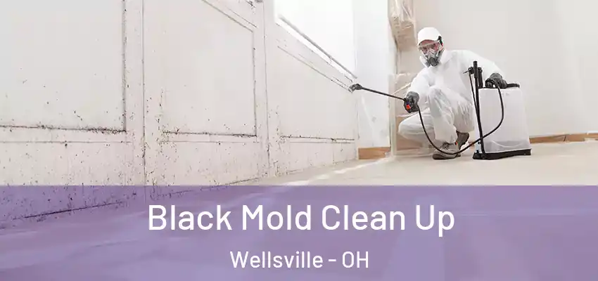  Black Mold Clean Up Wellsville - OH