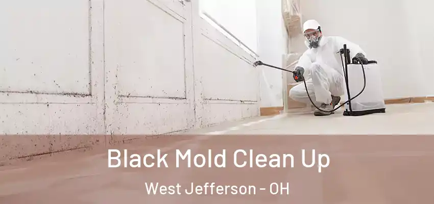  Black Mold Clean Up West Jefferson - OH