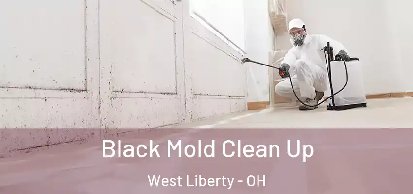  Black Mold Clean Up West Liberty - OH