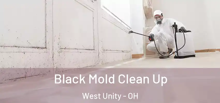  Black Mold Clean Up West Unity - OH