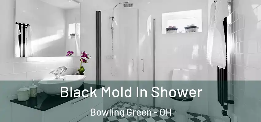  Black Mold In Shower Bowling Green - OH