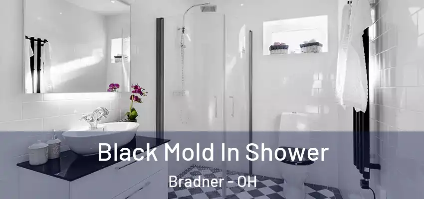  Black Mold In Shower Bradner - OH