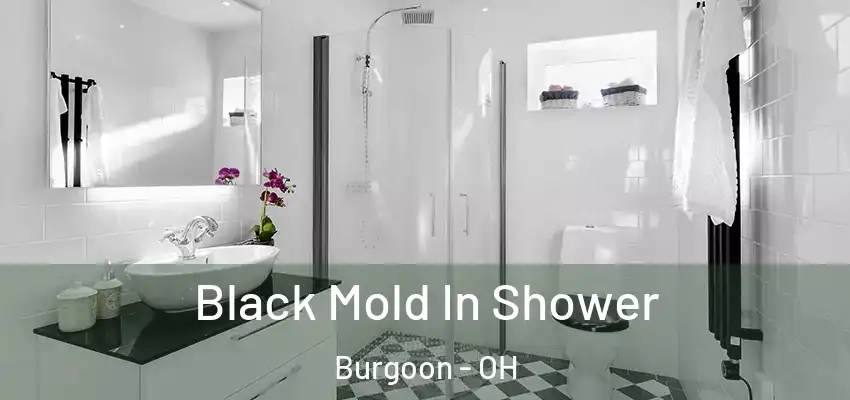  Black Mold In Shower Burgoon - OH