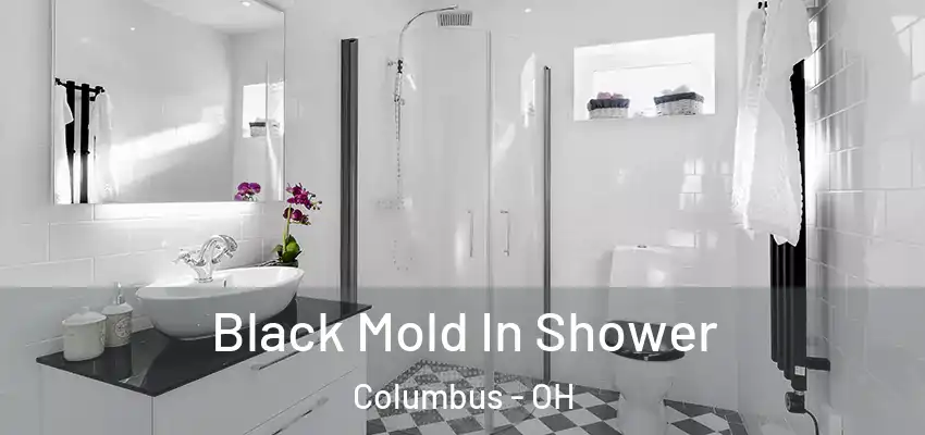  Black Mold In Shower Columbus - OH