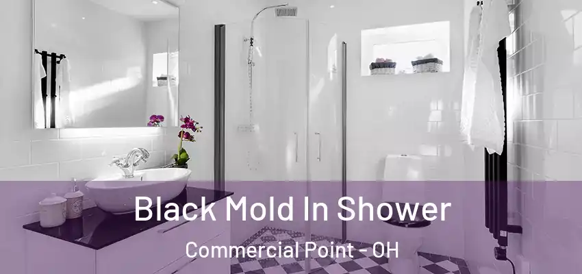  Black Mold In Shower Commercial Point - OH