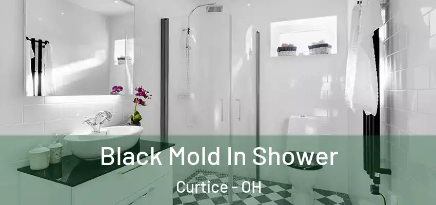  Black Mold In Shower Curtice - OH