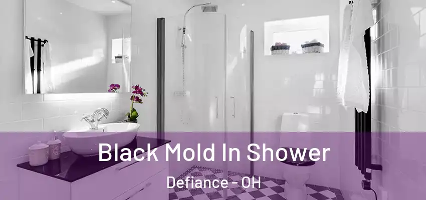  Black Mold In Shower Defiance - OH
