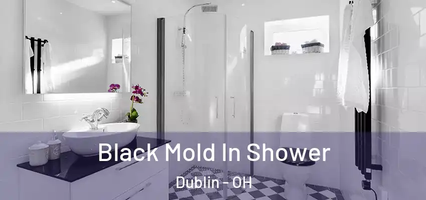  Black Mold In Shower Dublin - OH