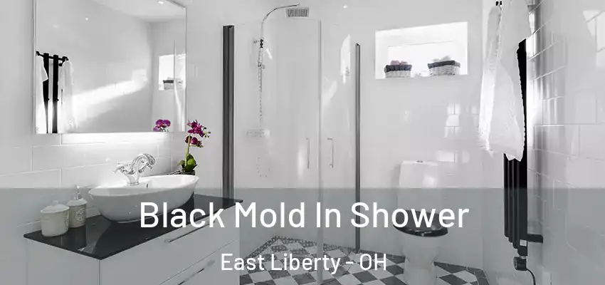  Black Mold In Shower East Liberty - OH