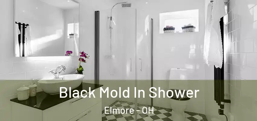  Black Mold In Shower Elmore - OH