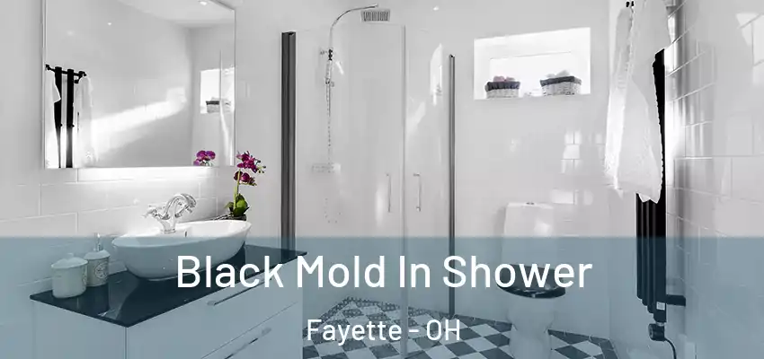  Black Mold In Shower Fayette - OH