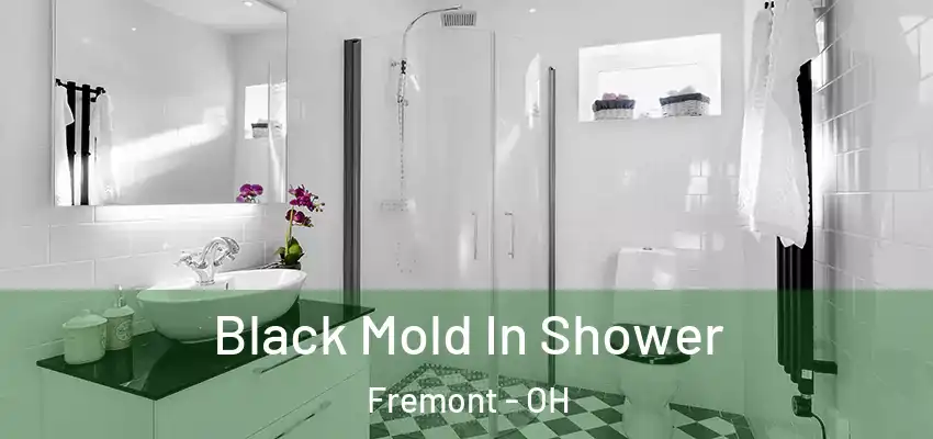  Black Mold In Shower Fremont - OH