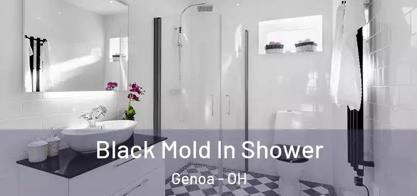  Black Mold In Shower Genoa - OH