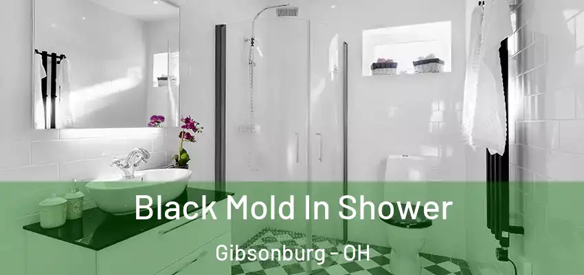 Black Mold In Shower Gibsonburg - OH