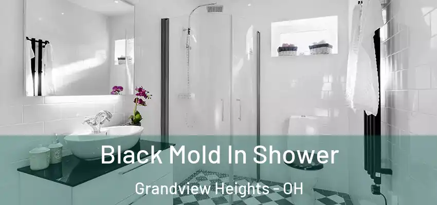 Black Mold In Shower Grandview Heights - OH