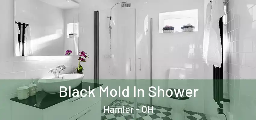  Black Mold In Shower Hamler - OH