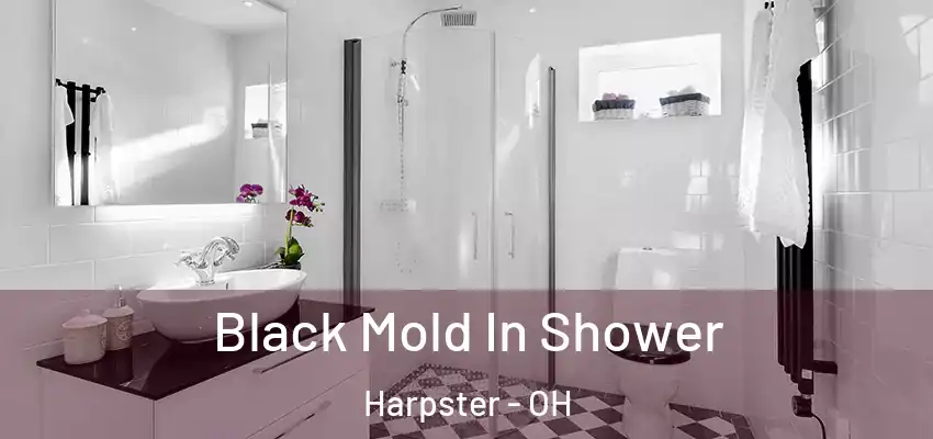  Black Mold In Shower Harpster - OH