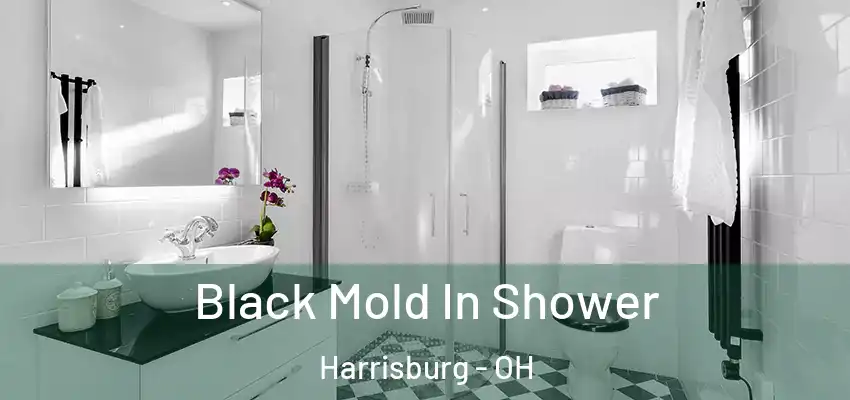Black Mold In Shower Harrisburg - OH