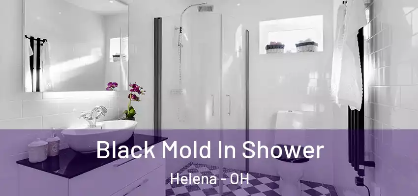  Black Mold In Shower Helena - OH
