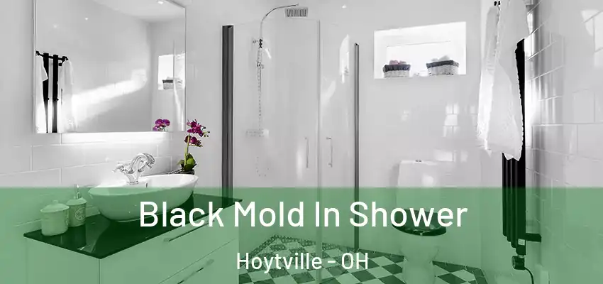  Black Mold In Shower Hoytville - OH