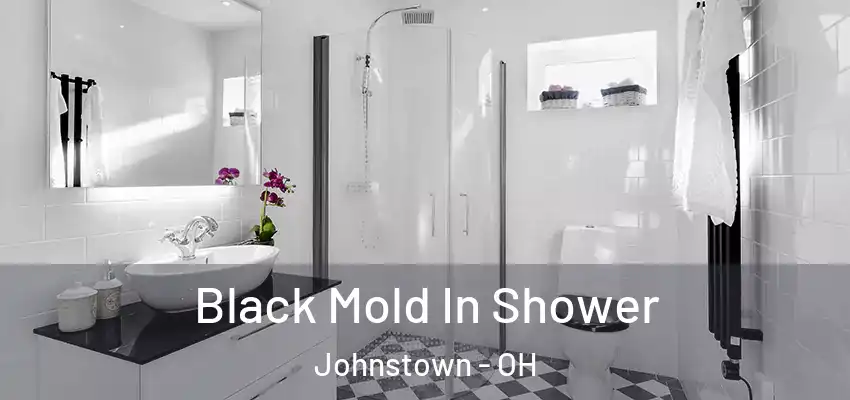  Black Mold In Shower Johnstown - OH