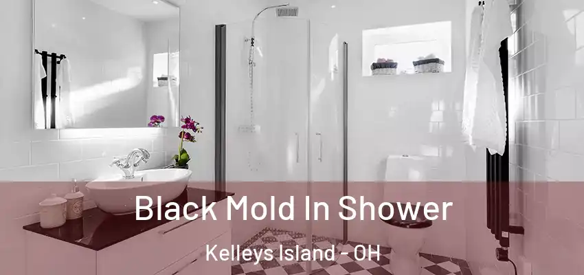 Black Mold In Shower Kelleys Island - OH