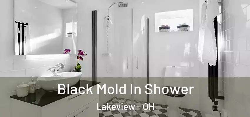 Black Mold In Shower Lakeview - OH