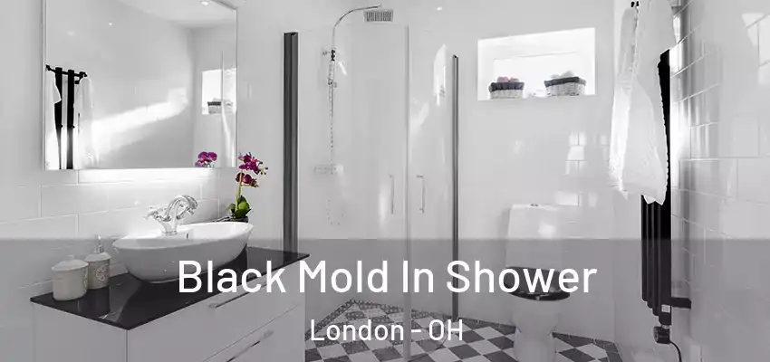  Black Mold In Shower London - OH