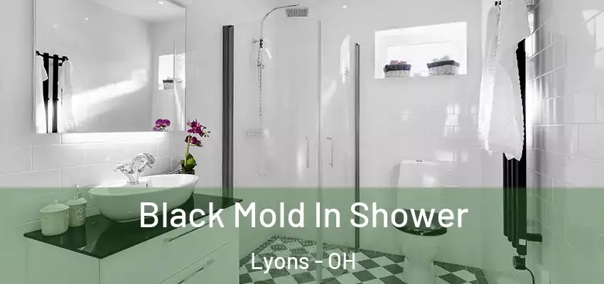  Black Mold In Shower Lyons - OH