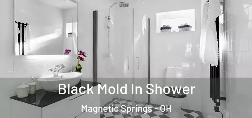 Black Mold In Shower Magnetic Springs - OH
