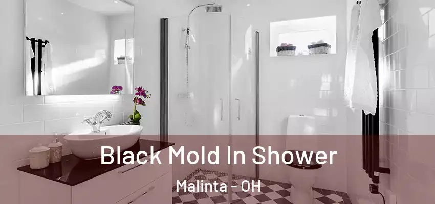  Black Mold In Shower Malinta - OH