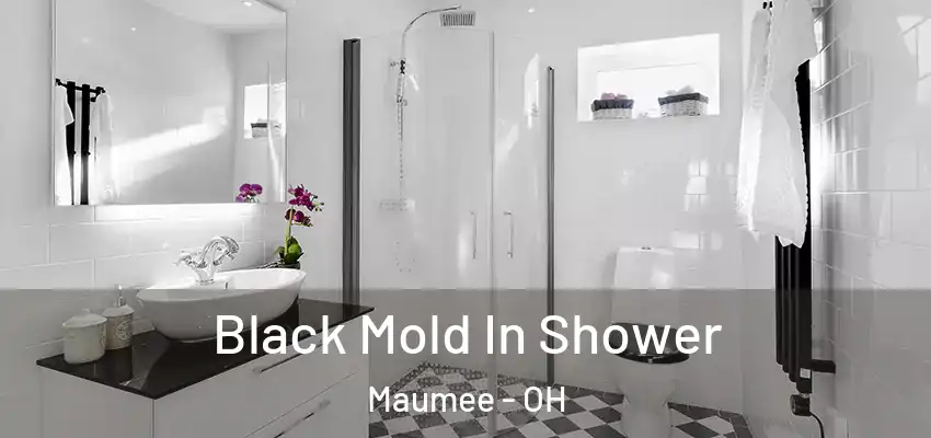  Black Mold In Shower Maumee - OH