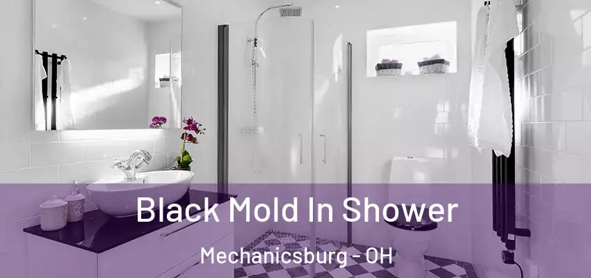  Black Mold In Shower Mechanicsburg - OH