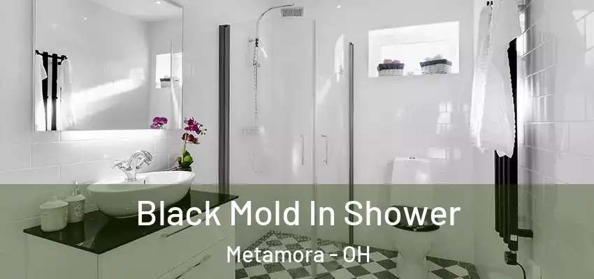  Black Mold In Shower Metamora - OH
