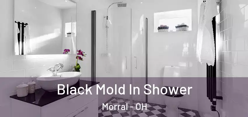  Black Mold In Shower Morral - OH
