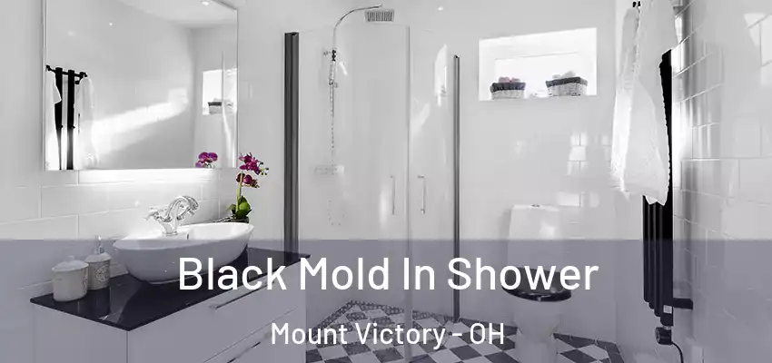  Black Mold In Shower Mount Victory - OH