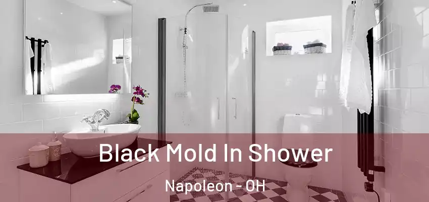  Black Mold In Shower Napoleon - OH