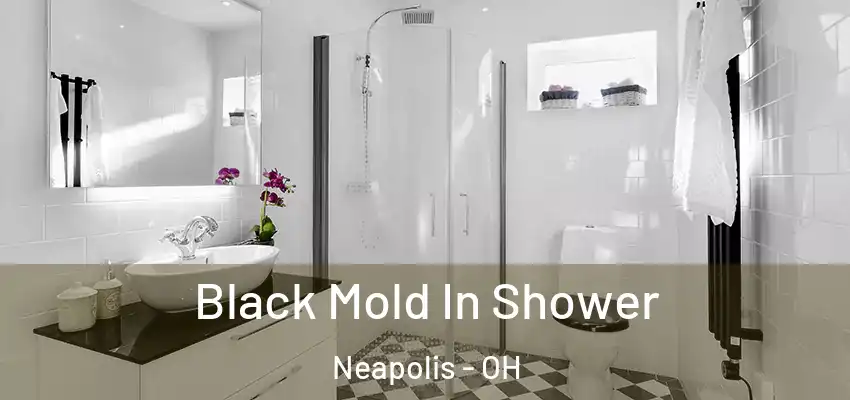  Black Mold In Shower Neapolis - OH