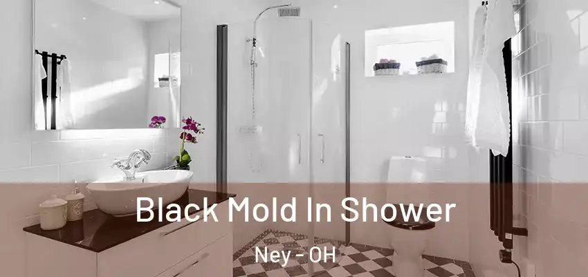  Black Mold In Shower Ney - OH