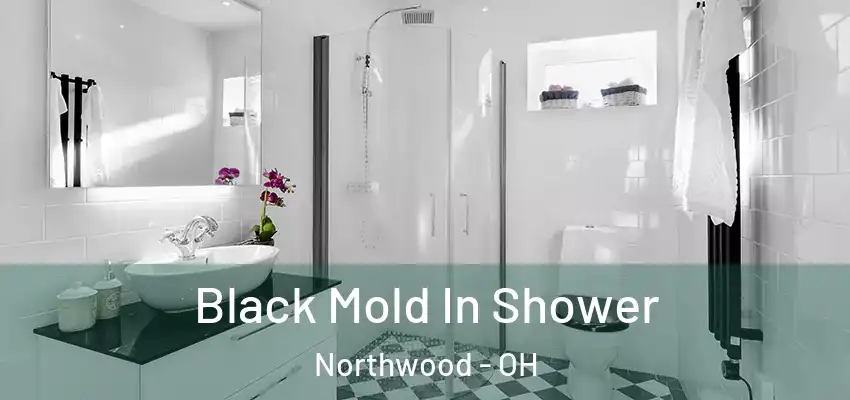 Black Mold In Shower Northwood - OH