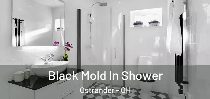  Black Mold In Shower Ostrander - OH